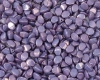 Pinch Beads 5mm Calk White Lila Vega Luster - 10g