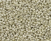Miyuki Rocailles 15/0 - 04201 Duracoat Galvanized Silver - 5g