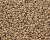 Miyuki Rocailles 8/0 4204 Duracoat Galv. Champagne  - 10g