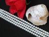 Glas Pearls 4mm Wei� - 1 Strang ca. 200 St�ck